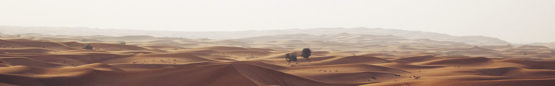 ʢؽĿƼ޹˾